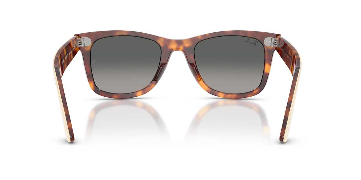 Gafas de Sol Ray-Ban WAYFARER RB2240 144371 50 22 — vista trasera