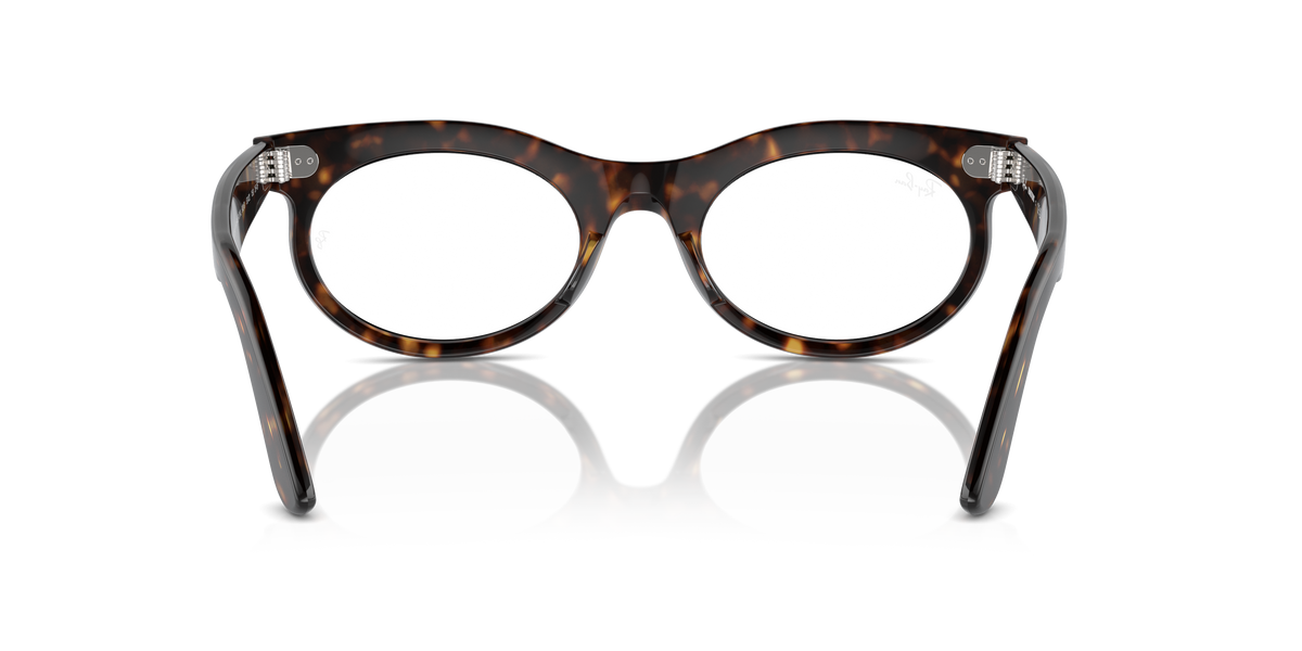 Gafas de Sol Ray-Ban WAYFARER OVAL RB2242 902/GI 50 22 — vista trasera