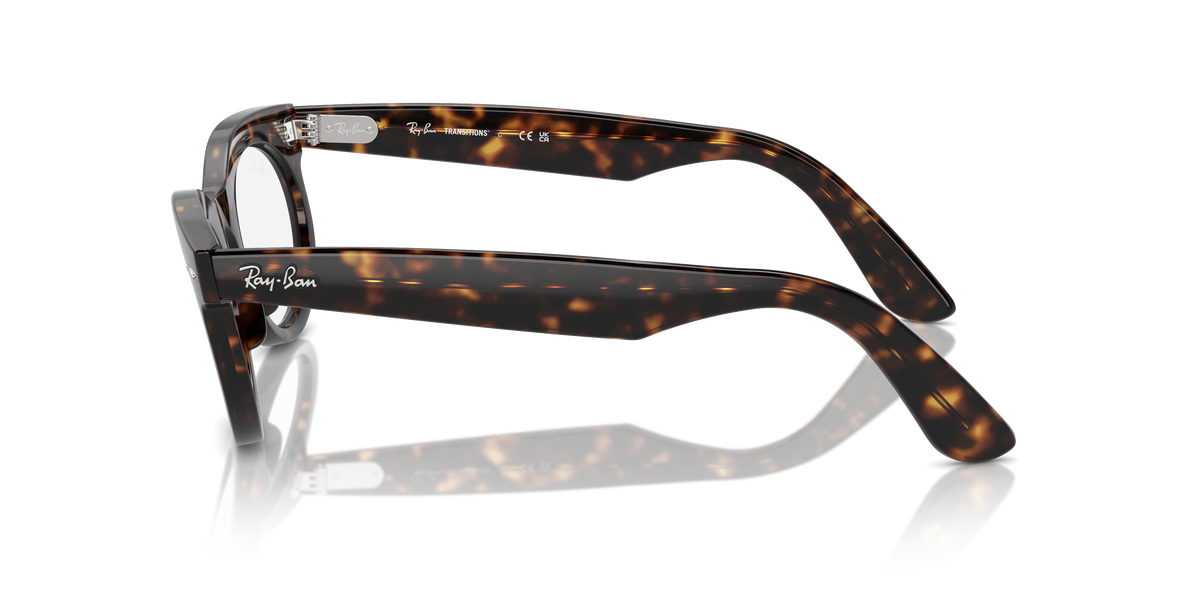 Gafas de Sol Ray-Ban WAYFARER OVAL RB2242 902/GI 50 22 — vista lateral