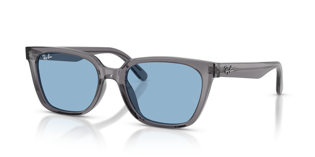 Sunglasses Ray-Ban RB2243D 139972 55 19