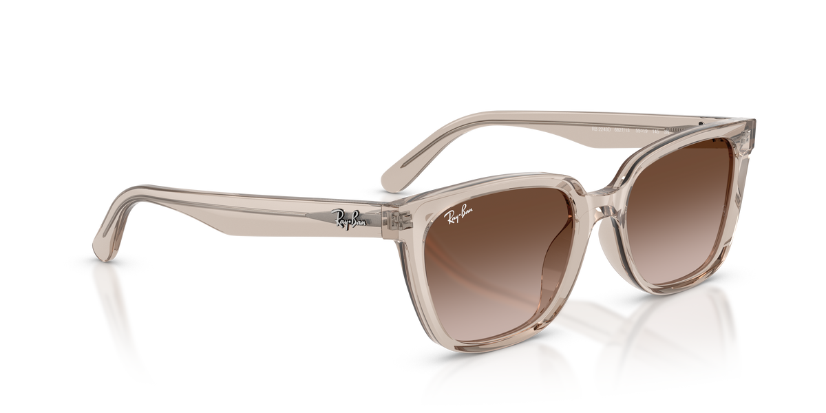 Gafas de Sol Ray-Ban RB2243D 682713 55 19