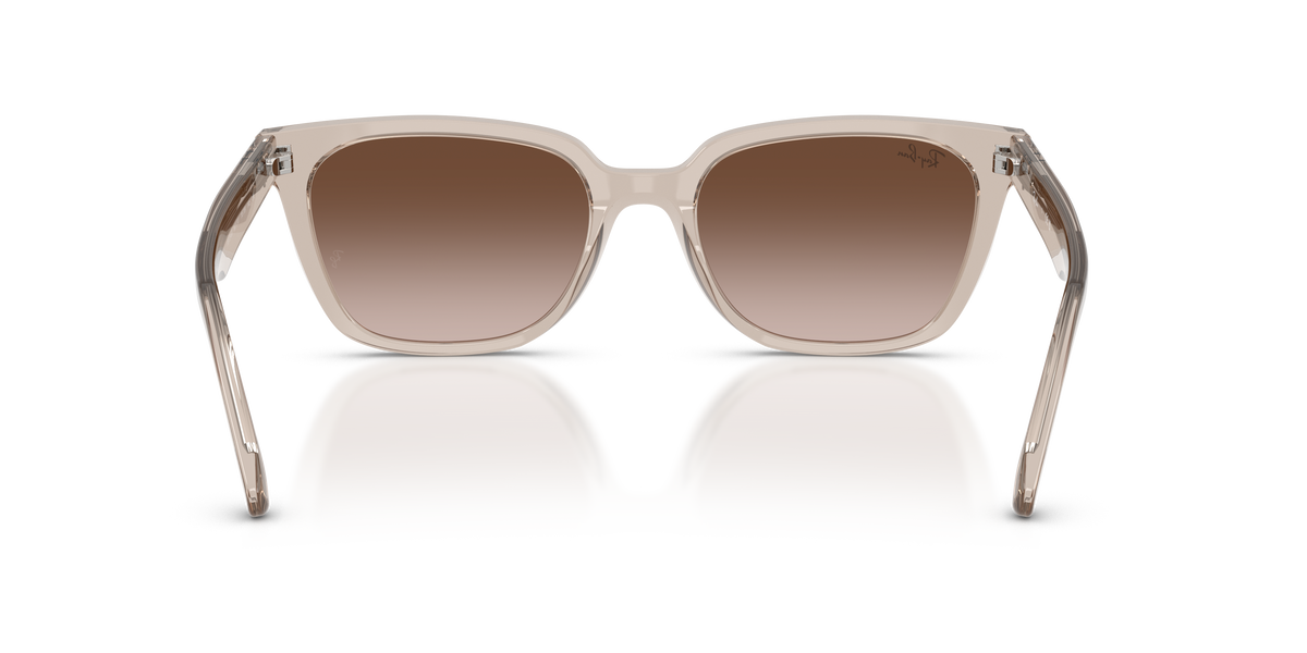 Gafas de Sol Ray-Ban RB2243D 682713 55 19