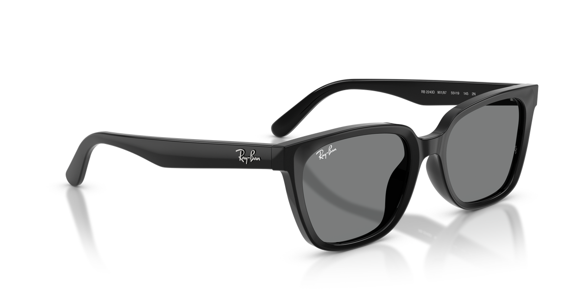 Sunglasses Ray-Ban RB2243D 901/87 55 19