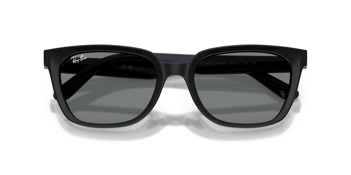 Sunglasses Ray-Ban RB2243D 901/87 55 19