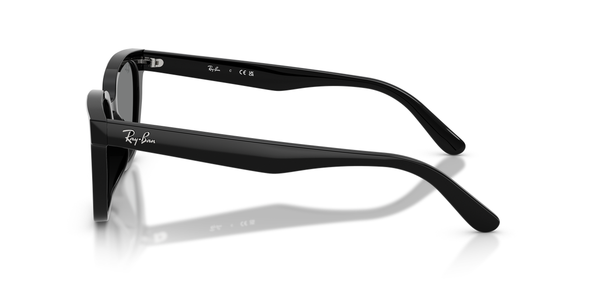 Sunglasses Ray-Ban RB2243D 901/87 55 19
