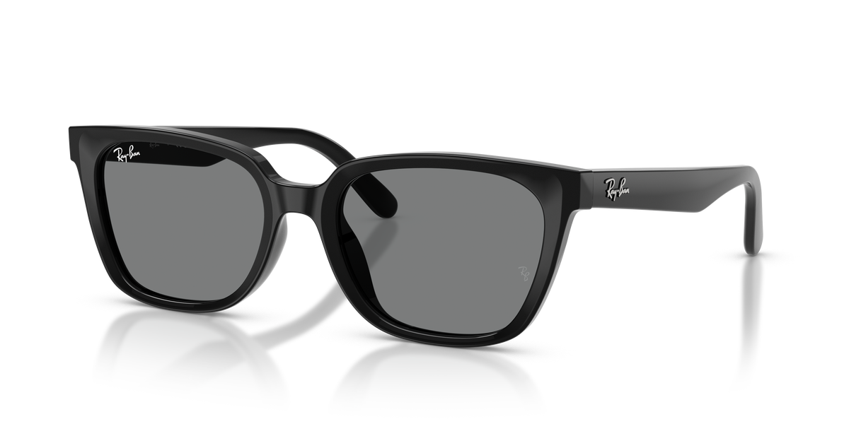Sunglasses Ray-Ban RB2243D 901/87 55 19