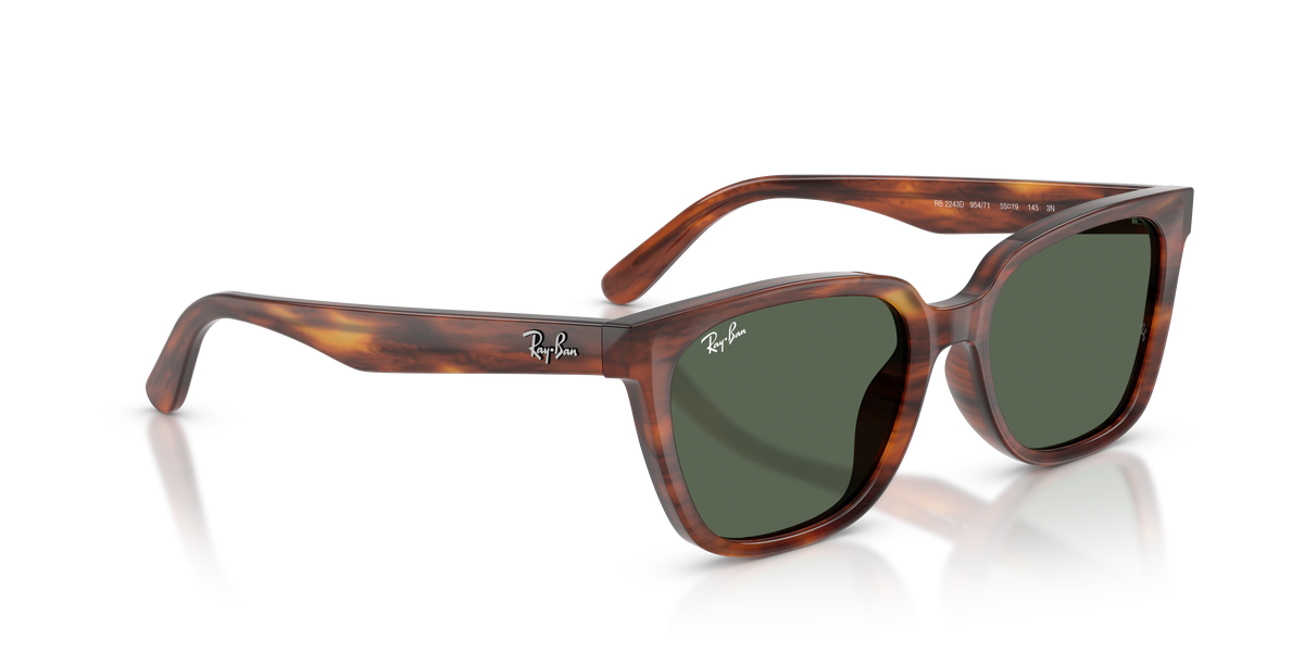 Gafas de Sol Ray-Ban RB2243D 954/71 55 19