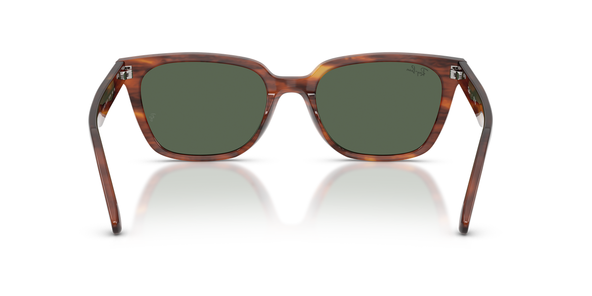 Gafas de Sol Ray-Ban RB2243D 954/71 55 19