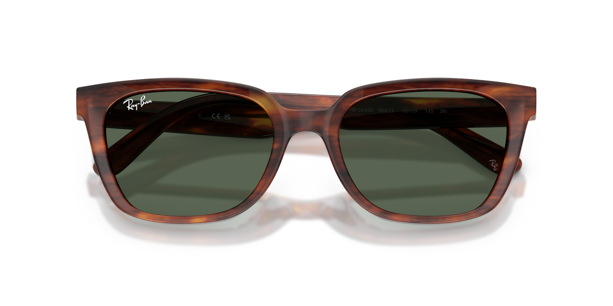 Gafas de Sol Ray-Ban RB2243D 954/71 55 19