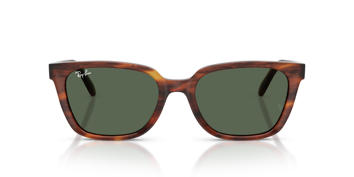 Gafas de Sol Ray-Ban RB2243D 954/71 55 19