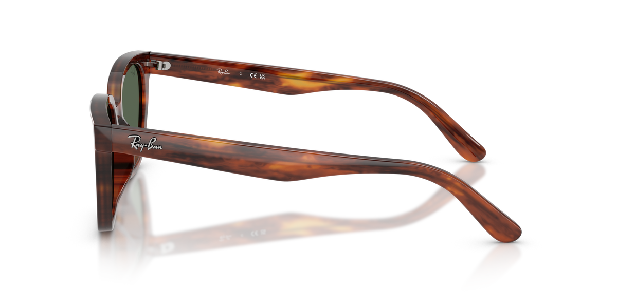 Gafas de Sol Ray-Ban RB2243D 954/71 55 19