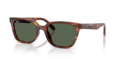 Gafas de Sol Ray-Ban RB2243D 954/71 55 19