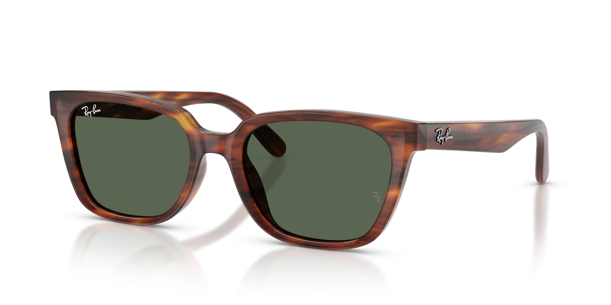 Sunglasses Ray-Ban RB2243D 954/71 55 19