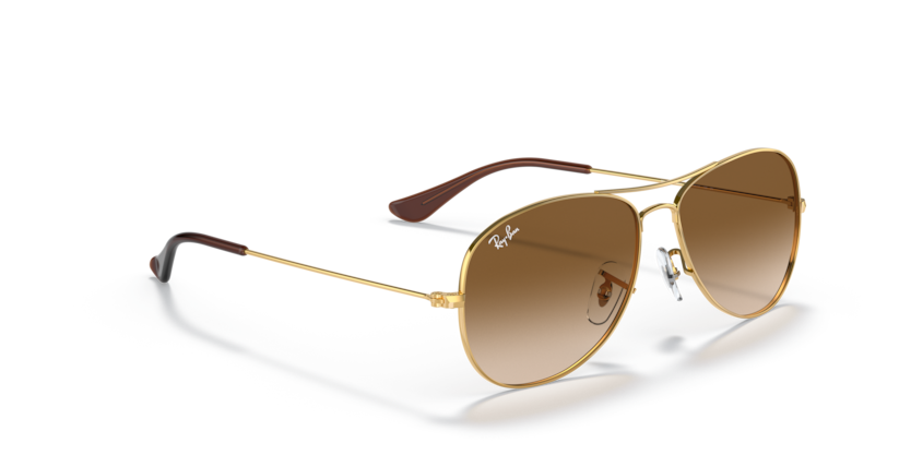 Sunglasses Ray-Ban Cockpit RB3362 001/51 59 14