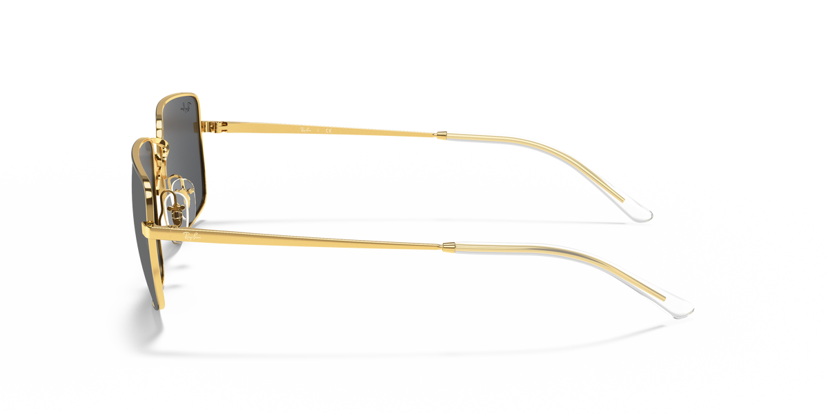 Sunglasses Ray-Ban RB3669 905487 55 20