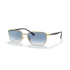 Gafas de Sol Ray-Ban RB3684 001/3F 58 18
