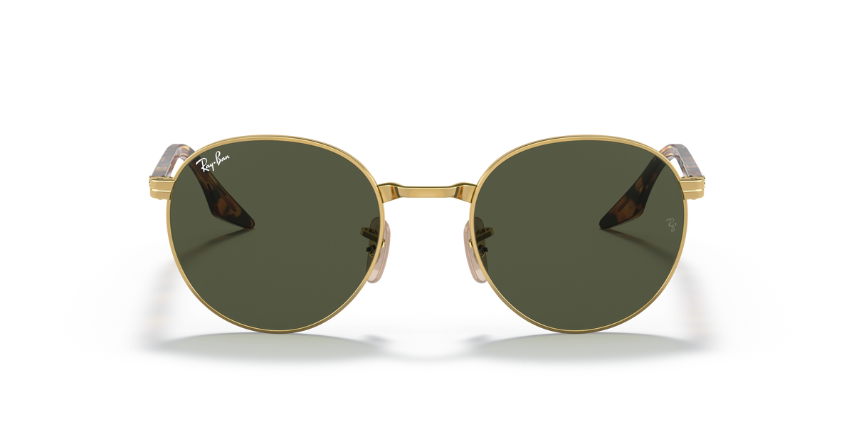 Sunglasses Ray-Ban RB3691 001/31 48 21