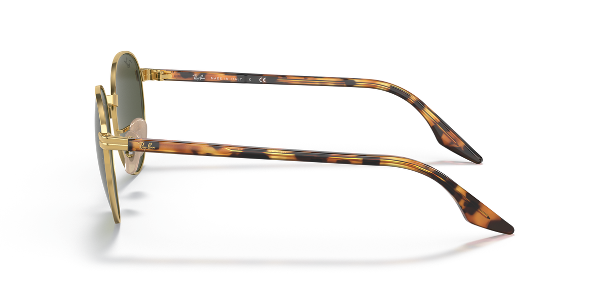 Gafas de Sol Ray-Ban RB3691 001/31 48 21