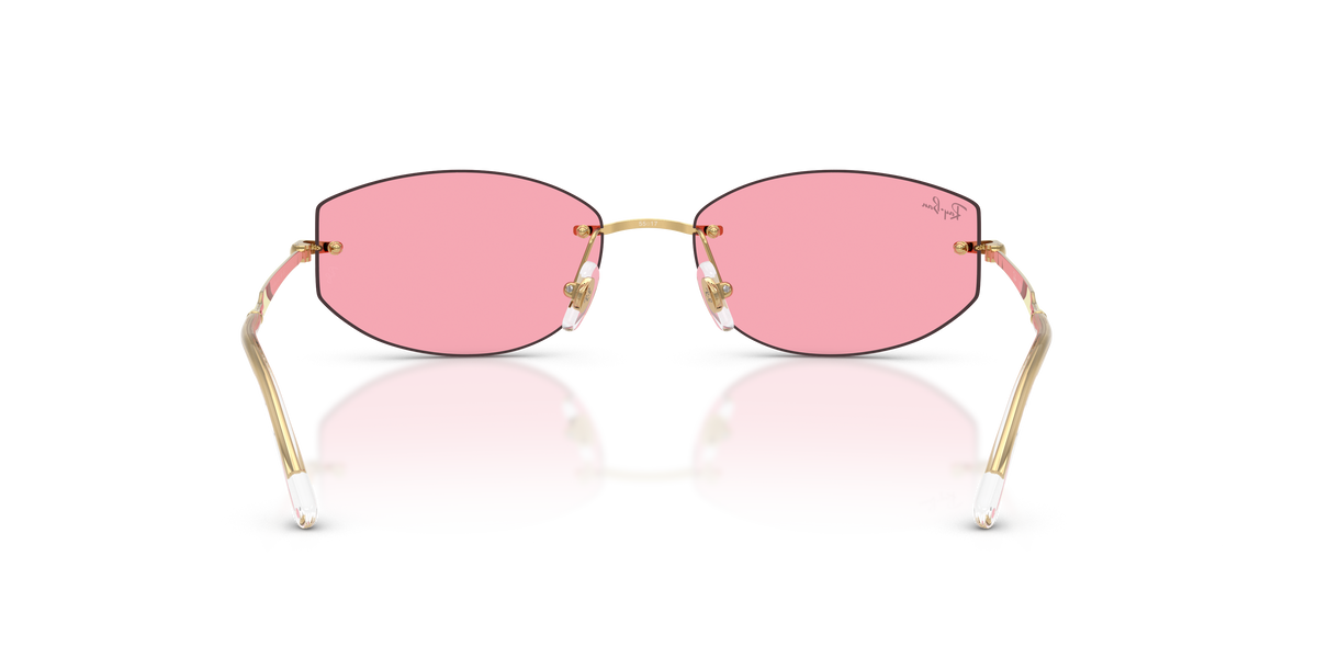 Gafas de Sol Ray-Ban RB3792 001/84 55 17
