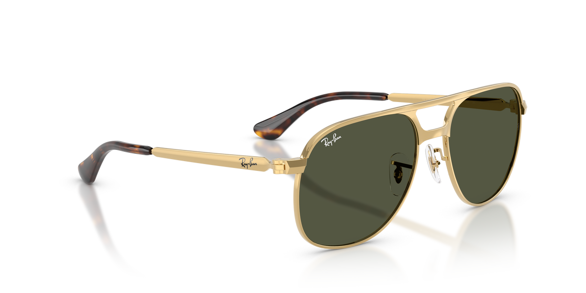 Sunglasses Ray-Ban Bill Max RB3793 001/31 56 / 59 17