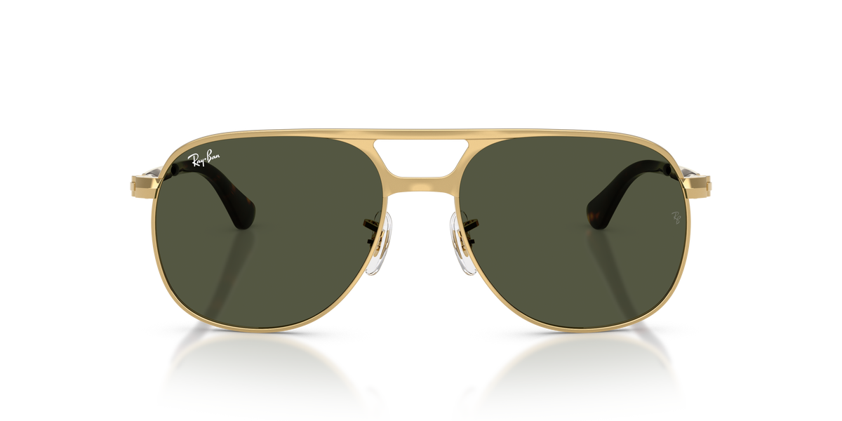 Sunglasses Ray-Ban Bill Max RB3793 001/31 56 / 59 17