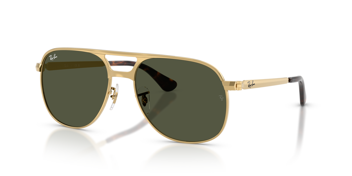 Sunglasses Ray-Ban Bill Max RB3793 001/31 56 / 59 17