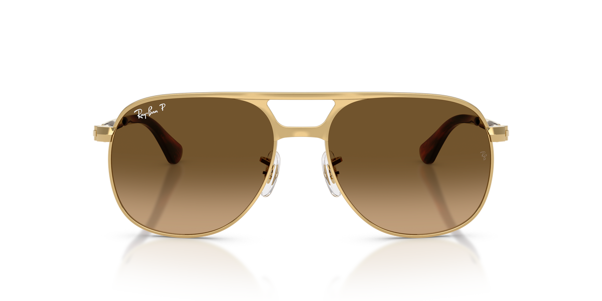 Sunglasses Ray-Ban Bill Max RB3793 001/M2 56 / 59 17