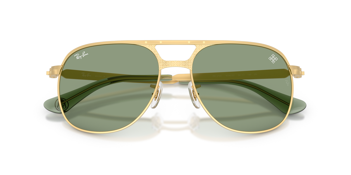 Sunglasses Ray-Ban Bill Max RB3793 929052 59 17