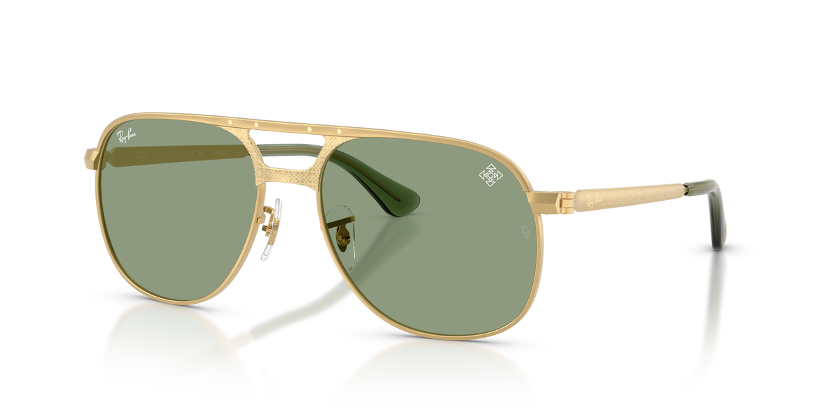 Sunglasses Ray-Ban Bill Max RB3793 929052 59 17