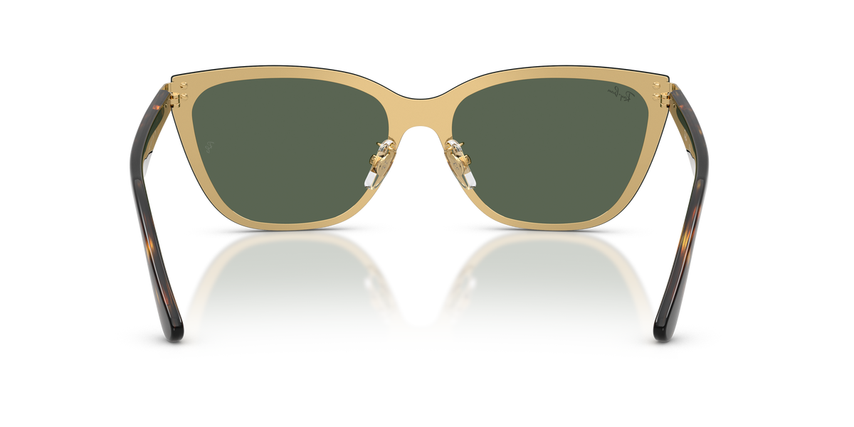 Sunglasses Ray-Ban RB3798D 001/71 45 145