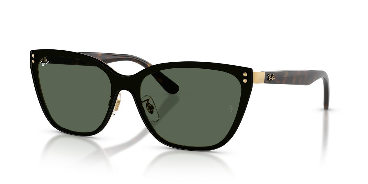 Sunglasses Ray-Ban RB3798D 001/71 45 145