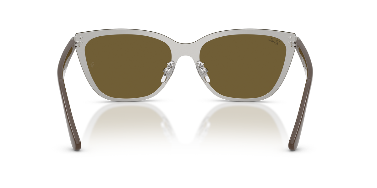 Sunglasses Ray-Ban RB3798D 928873 45 145
