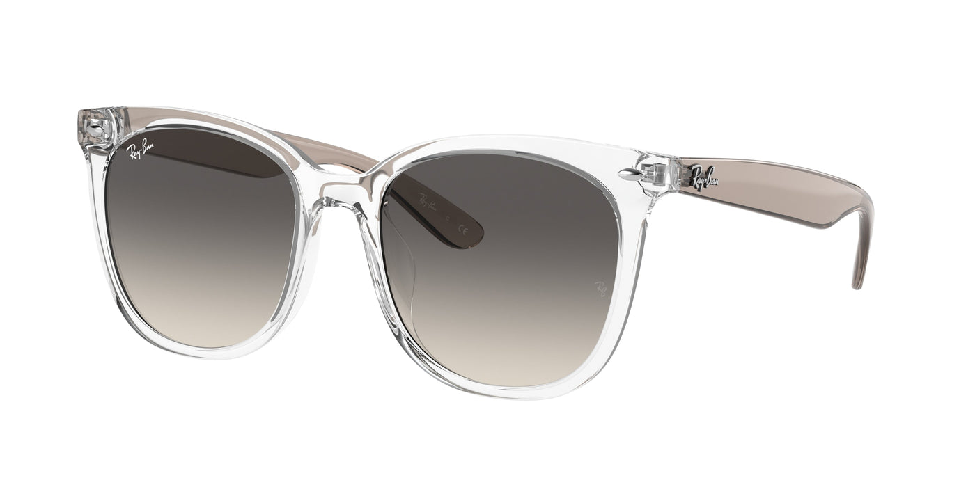 Gafas de Sol Ray-Ban RB4379D 659811 55 19