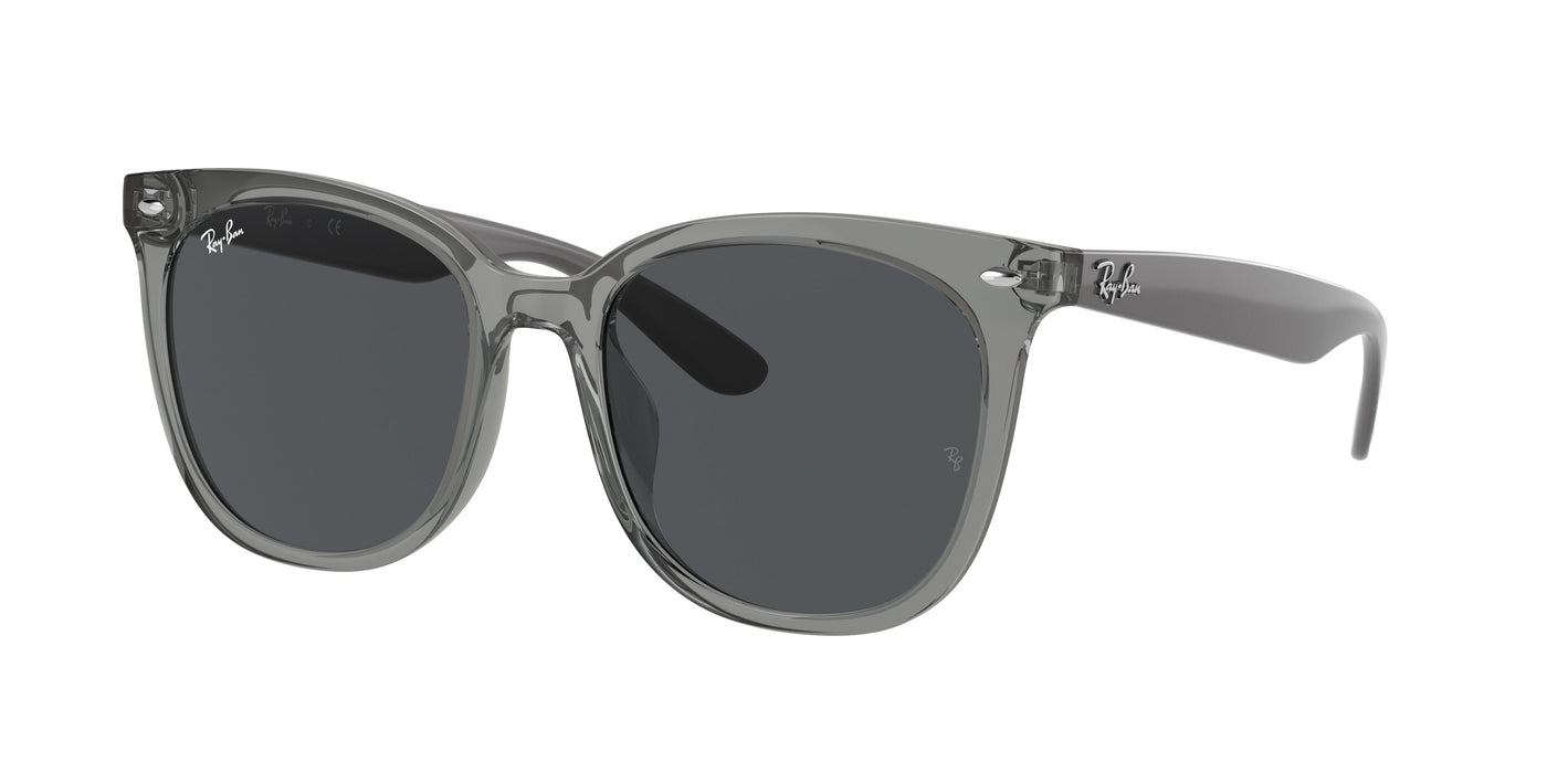 Gafas de Sol Ray-Ban RB4379D 659987 55 19