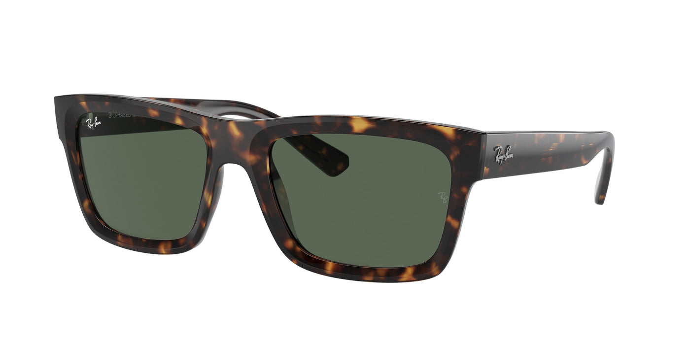 Gafas de Sol Ray-Ban WARREN RB4396 135971 54 20