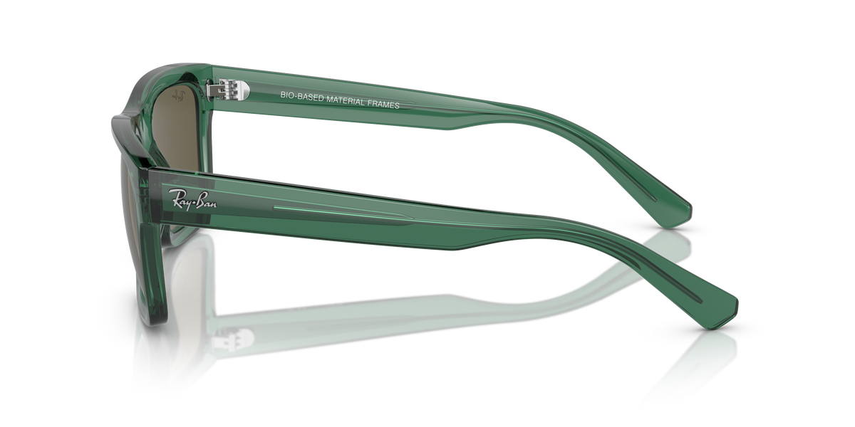 Gafas de Sol Ray-Ban WARREN RB4396 6681/3 54 20 — vista lateral