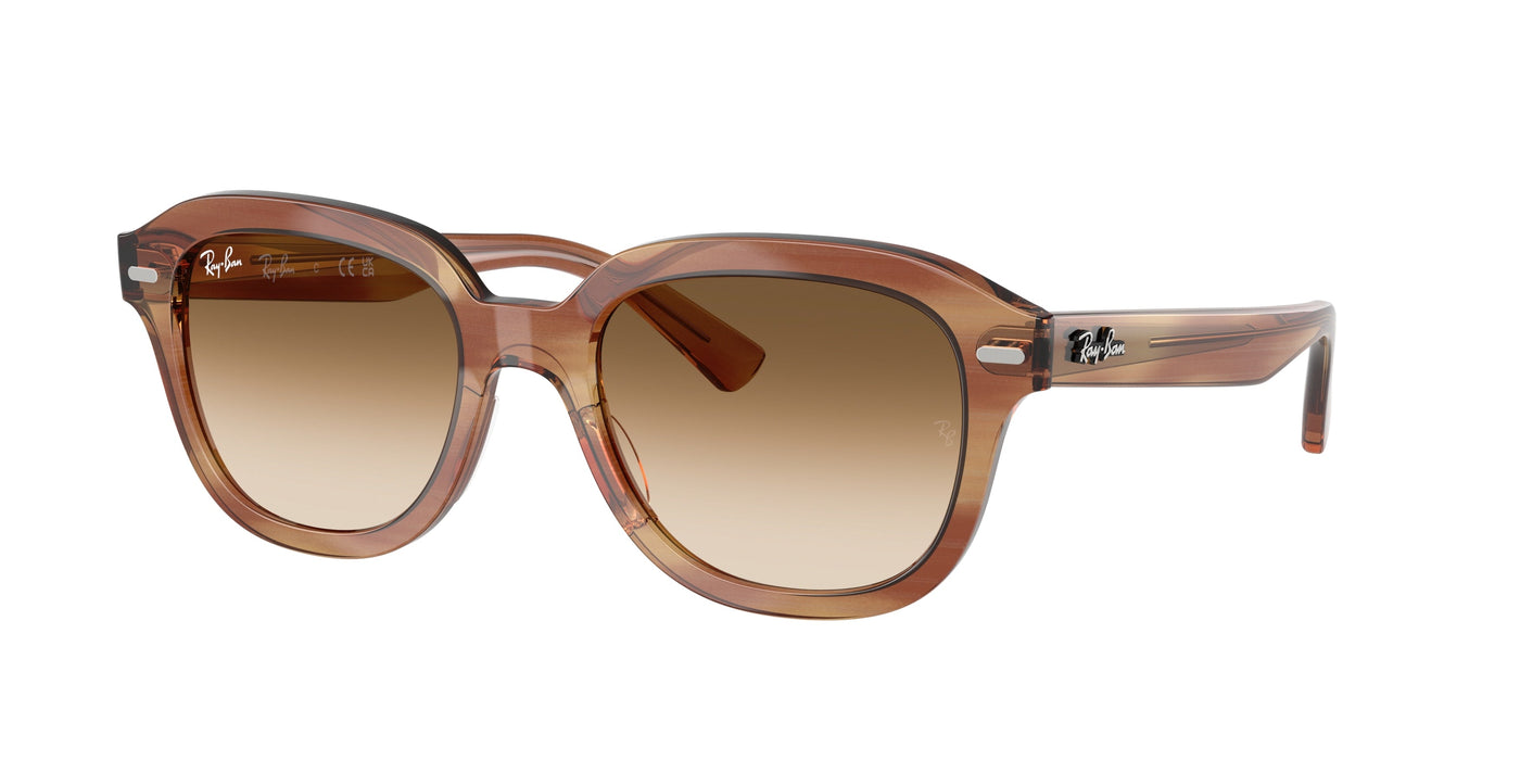 Gafas de Sol Ray-Ban ERIK RB4398 140351 53 20