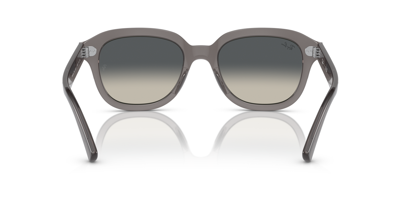Gafas de Sol Ray-Ban Erik RB4398 667571 51 20