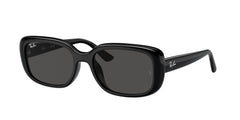 Sunglasses Ray-Ban RB4421D 667787 56 18