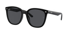 Gafas de Sol Ray-Ban RB4423D 601/87 66 15