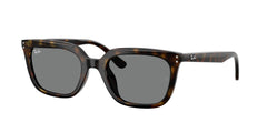 Sunglasses Ray-Ban RB4439D 710/87 54 21