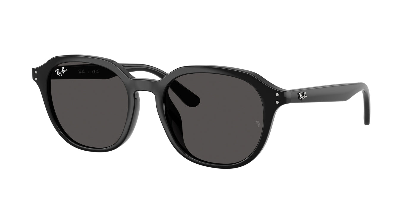 Gafas de Sol Ray-Ban RB4459D 901/87 54 19