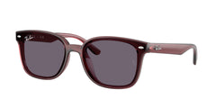 Gafas de Sol Ray-Ban RB4461D 659373 64 17