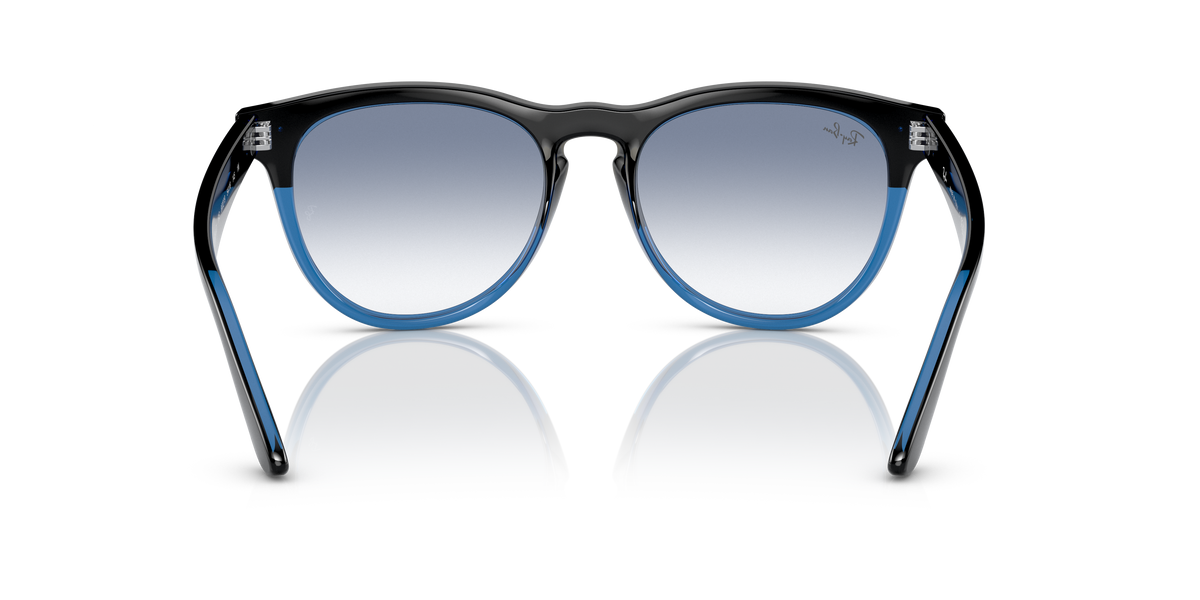 Sunglasses Ray-Ban Iris RB4471 663219 54 18