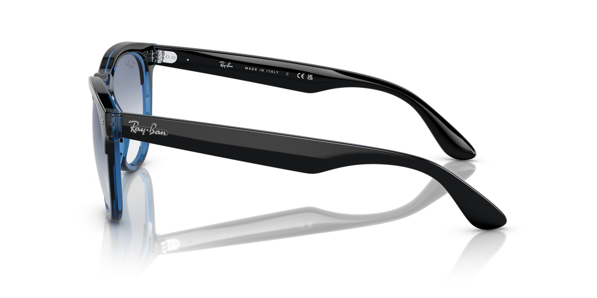 Sunglasses Ray-Ban Iris RB4471 663219 54 18