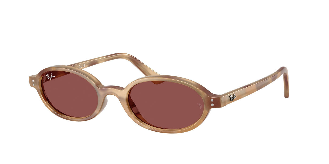 Gafas de Sol Ray-Ban Khal Bio RB4472 685675