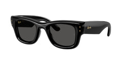 Sunglasses Ray-Ban WAYFARER PUFFER RB4940 601/87