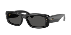 Gafas de Sol Ray-Ban RB4944 601/87 55 19