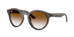 Gafas de Sol Ray-Ban RBR0505S 6707CB 52 22