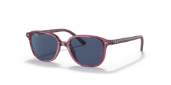Gafas de Sol Ray-Ban Junior Leonard RJ9093S 711280 45 16